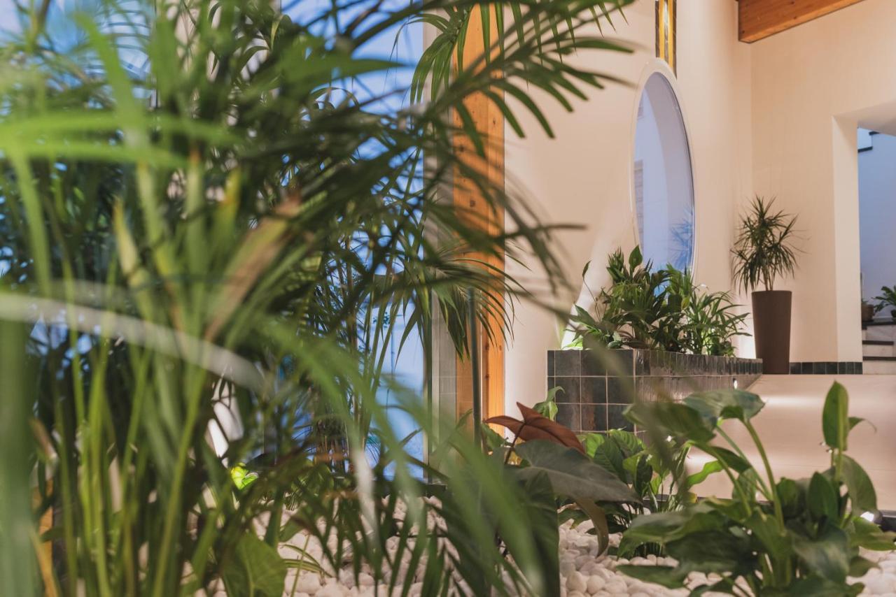 Hotel Pradillo Conil Конил-де-ла-Фронтера Екстериор снимка