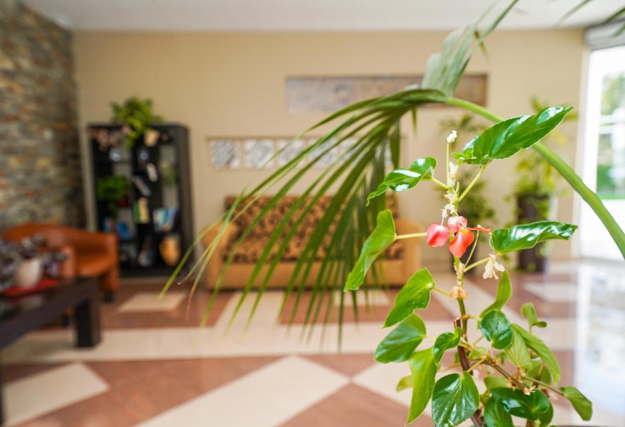 Hotel Pradillo Conil Конил-де-ла-Фронтера Екстериор снимка